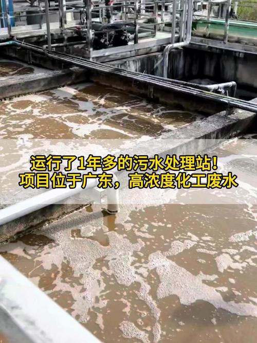 运行了1年多的污水处理站!